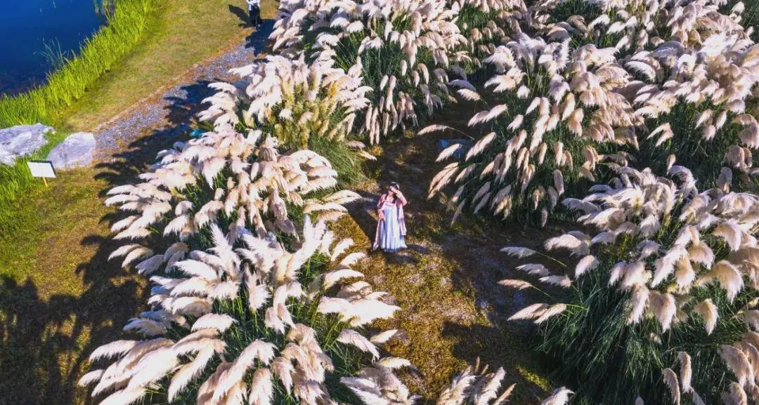 21e742068c3d0973daa91a02d75249e7-sz_168468 21e742068c3d0973daa91a02d75249e7-sz_168468