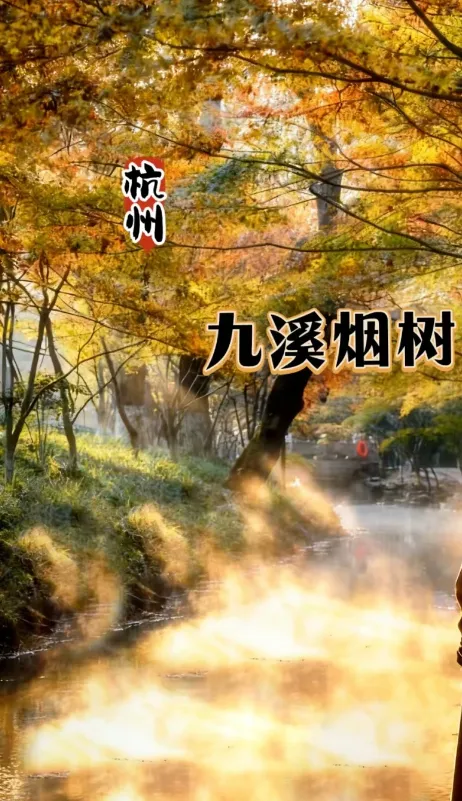 🍁不用飞京都✦『98元杭州☘️“赏醉美红枫”纯玩一日游✦穿越千年的历史之旅』✦西湖新十景之一九溪烟树✦南宋御街–穿越千年的历史之旅
