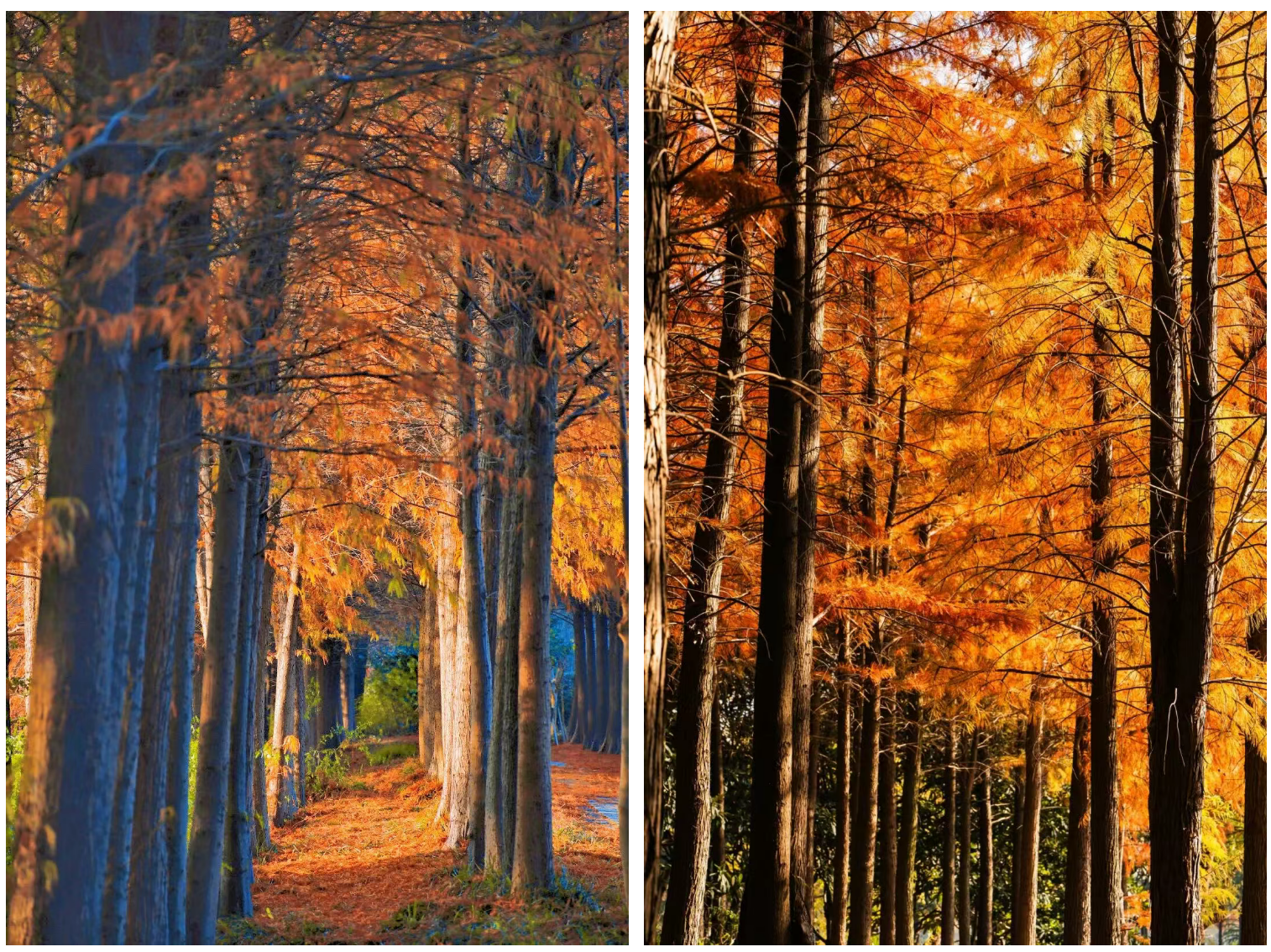 2297117eec0e6febf97d96c50c3b233a 2297117eec0e6febf97d96c50c3b233a