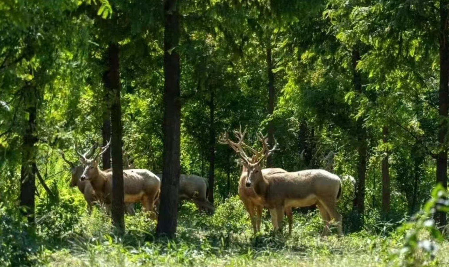 229b0e517968d09f2e7d696b2cc55598