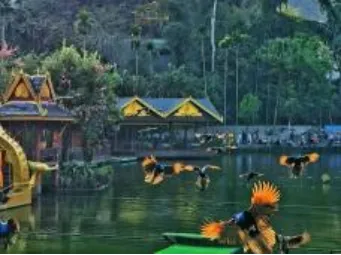 2320fd93b61409b8ac311538776ac22d-sz_348718