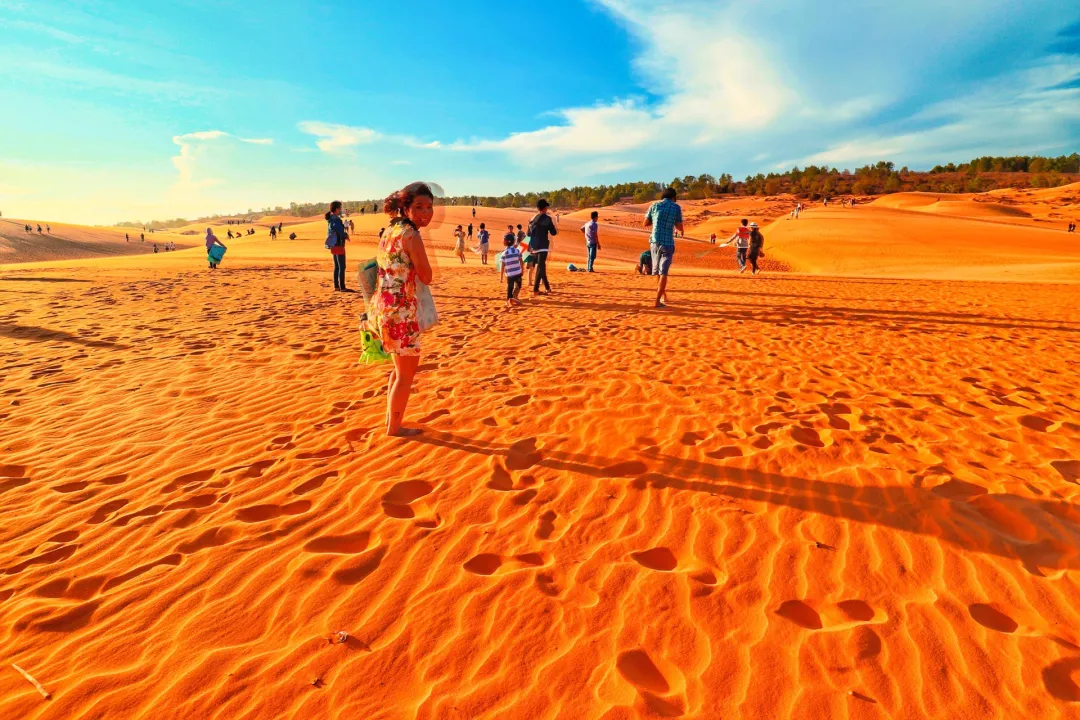 237d0ca7733d8a25e9499f68acb0329d-sz_908633 237d0ca7733d8a25e9499f68acb0329d-sz_908633