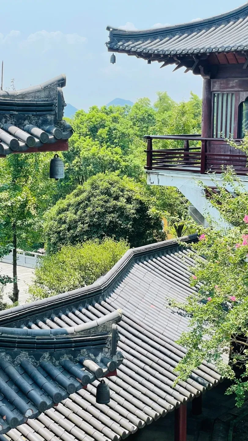 2385f6c26f1a302252248421102afdb7-sz_733210