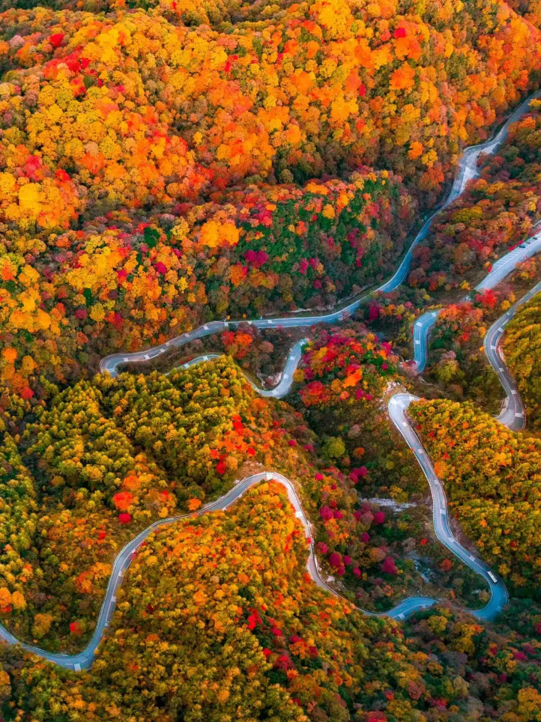 239cc93d3dca74e5cb846fa65fbc1a62-sz_649907 239cc93d3dca74e5cb846fa65fbc1a62-sz_649907