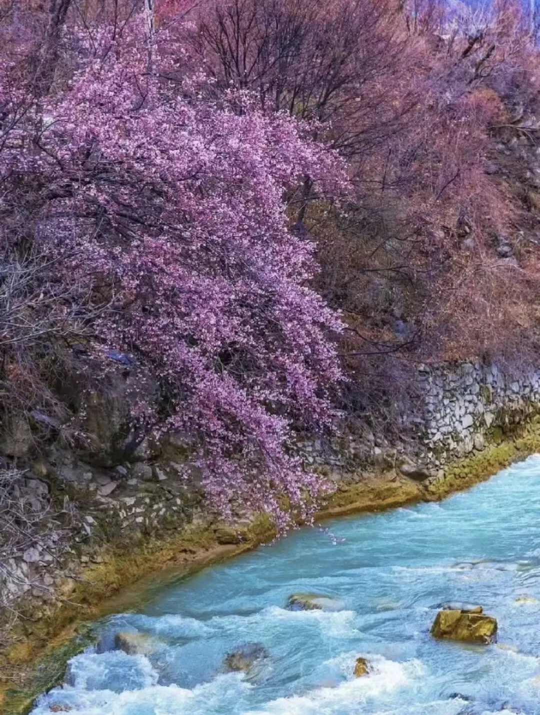 23fd11d19f18032a6fdd4beb4fe5da88-sz_2169780 23fd11d19f18032a6fdd4beb4fe5da88-sz_2169780