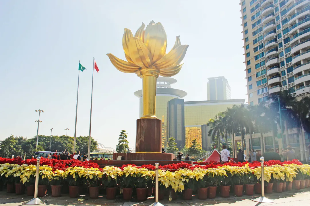 2423d13b4412a83f2a661e394e623eb5-sz_675205 2423d13b4412a83f2a661e394e623eb5-sz_675205