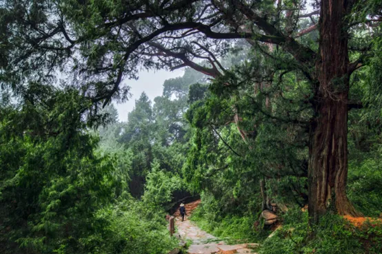 245bd9032e77cdfa1a5173b8c0f157b2-sz_513160 245bd9032e77cdfa1a5173b8c0f157b2-sz_513160