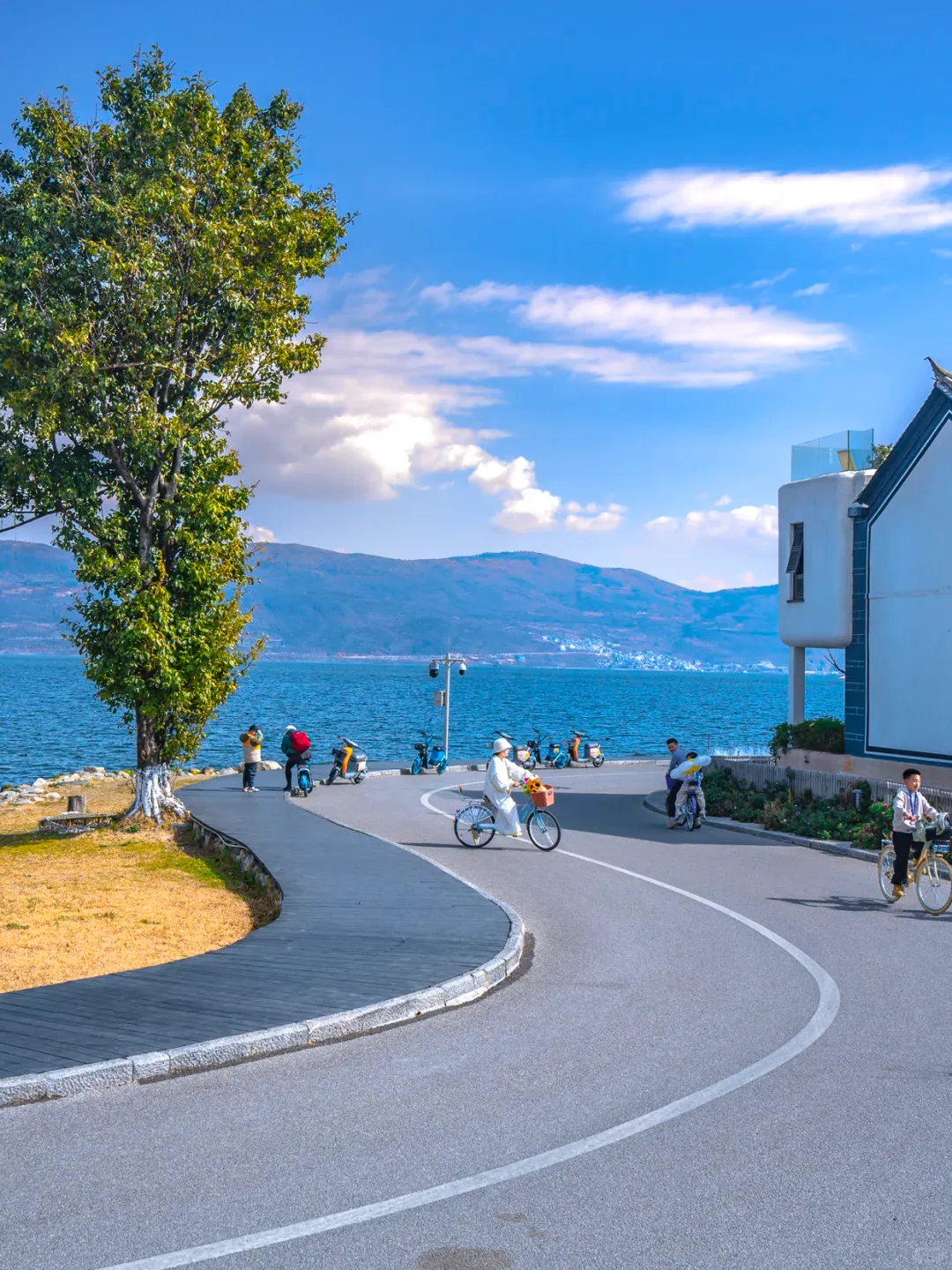 247855996459ebc3e21b73e49ac3181b-sz_2665131-1