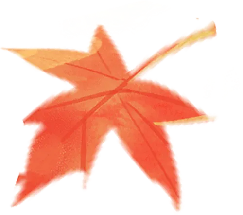 248b1085bec44f8ba2e4ec8551c6ad2a_sz-205136-7