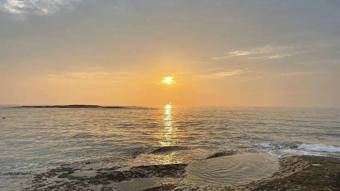 24e112c211752c20f671a91a4e37a4a9-sz_189432 24e112c211752c20f671a91a4e37a4a9-sz_189432