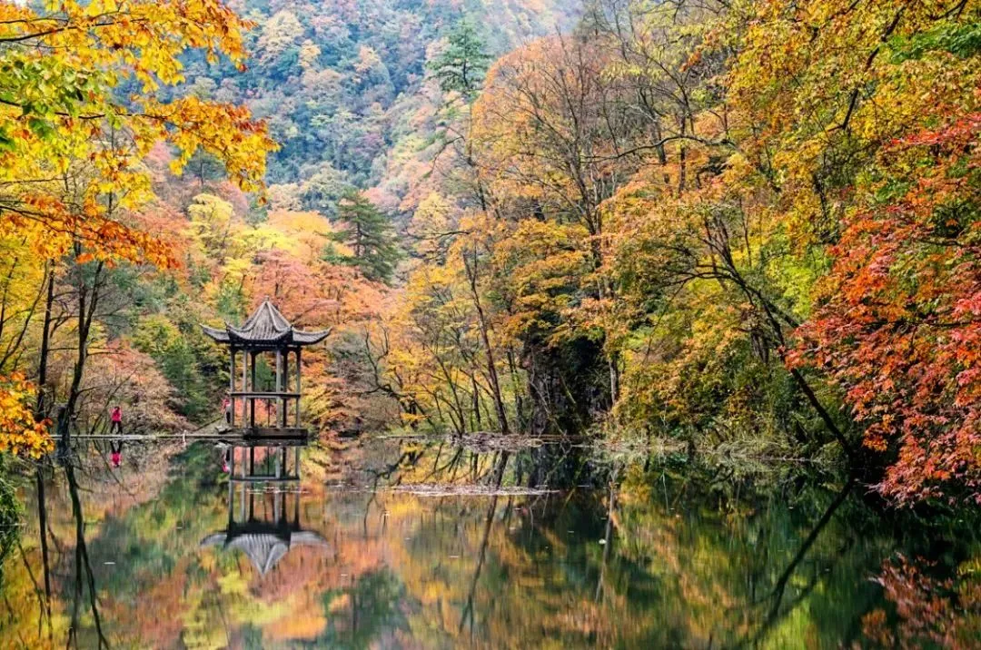 24ebd85c5b0487e62ae3dcdf20904509-sz_244708