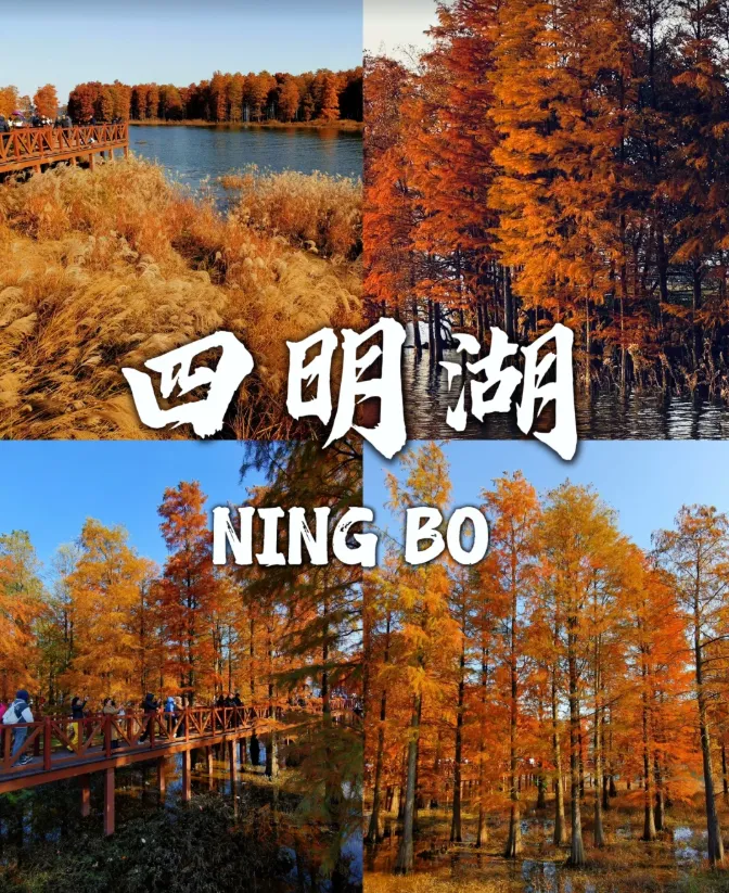 24f1d84f147f37a965320b75fccca1b7-sz_1276084-1 24f1d84f147f37a965320b75fccca1b7-sz_1276084-1