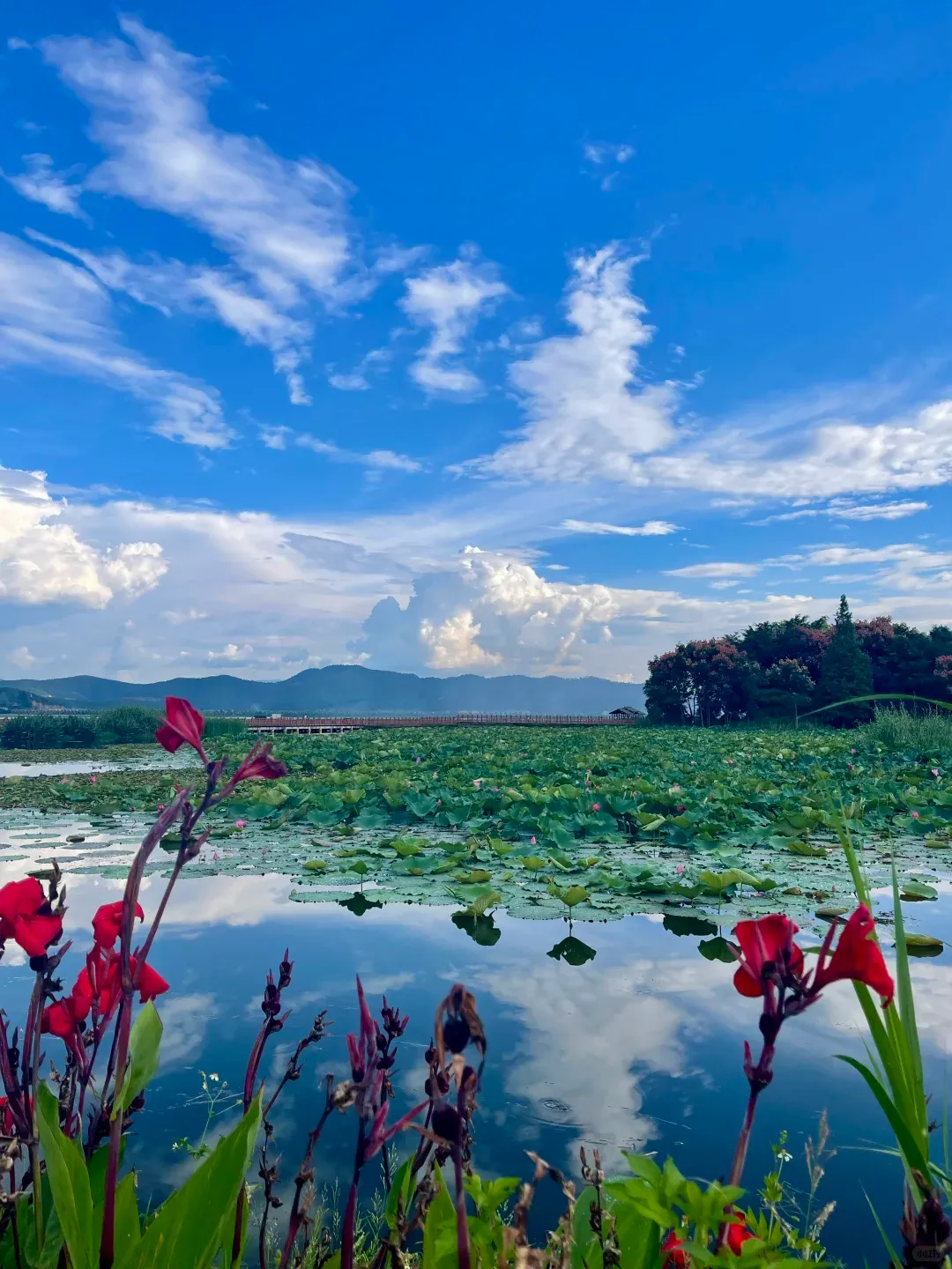 24f4fc247fb0fed2ef3f4d9bac150bf2-sz_2453052 24f4fc247fb0fed2ef3f4d9bac150bf2-sz_2453052