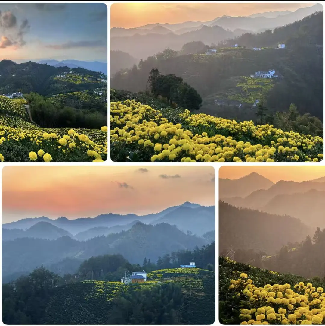 251752df29c6b1cb1c7650841d730fd9-sz_216467-1 251752df29c6b1cb1c7650841d730fd9-sz_216467-1