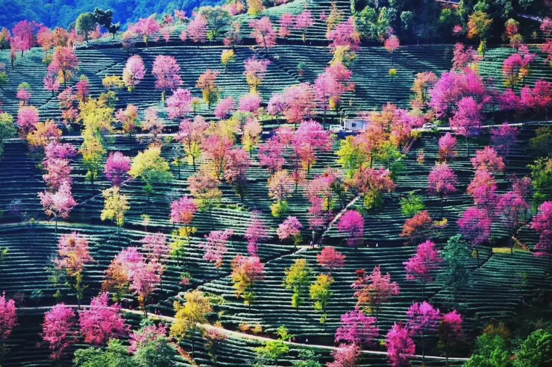 25297d68803a56e4bebc0a0bf43fb17b-sz_444823-1