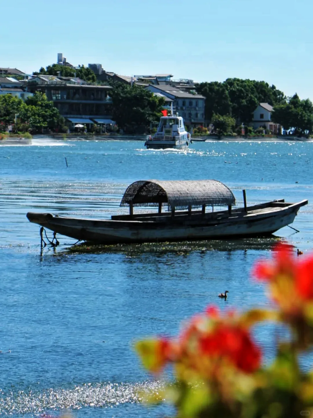 25e238936ee26a191a4d3d78d01190c3-sz_2859025-1