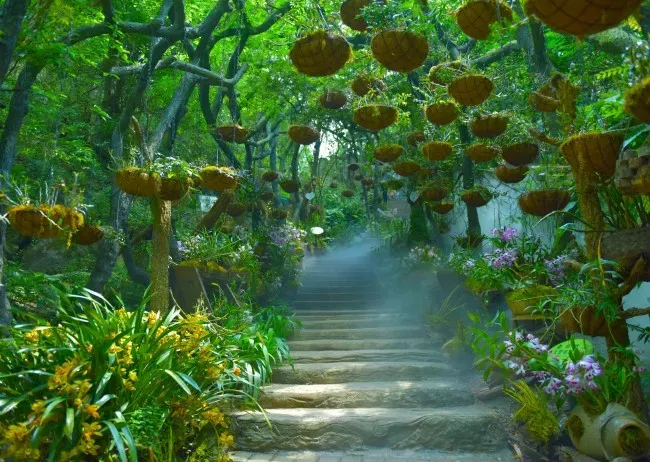 26062c81b9a708eb6af22f9d9f791528-sz_790587 26062c81b9a708eb6af22f9d9f791528-sz_790587