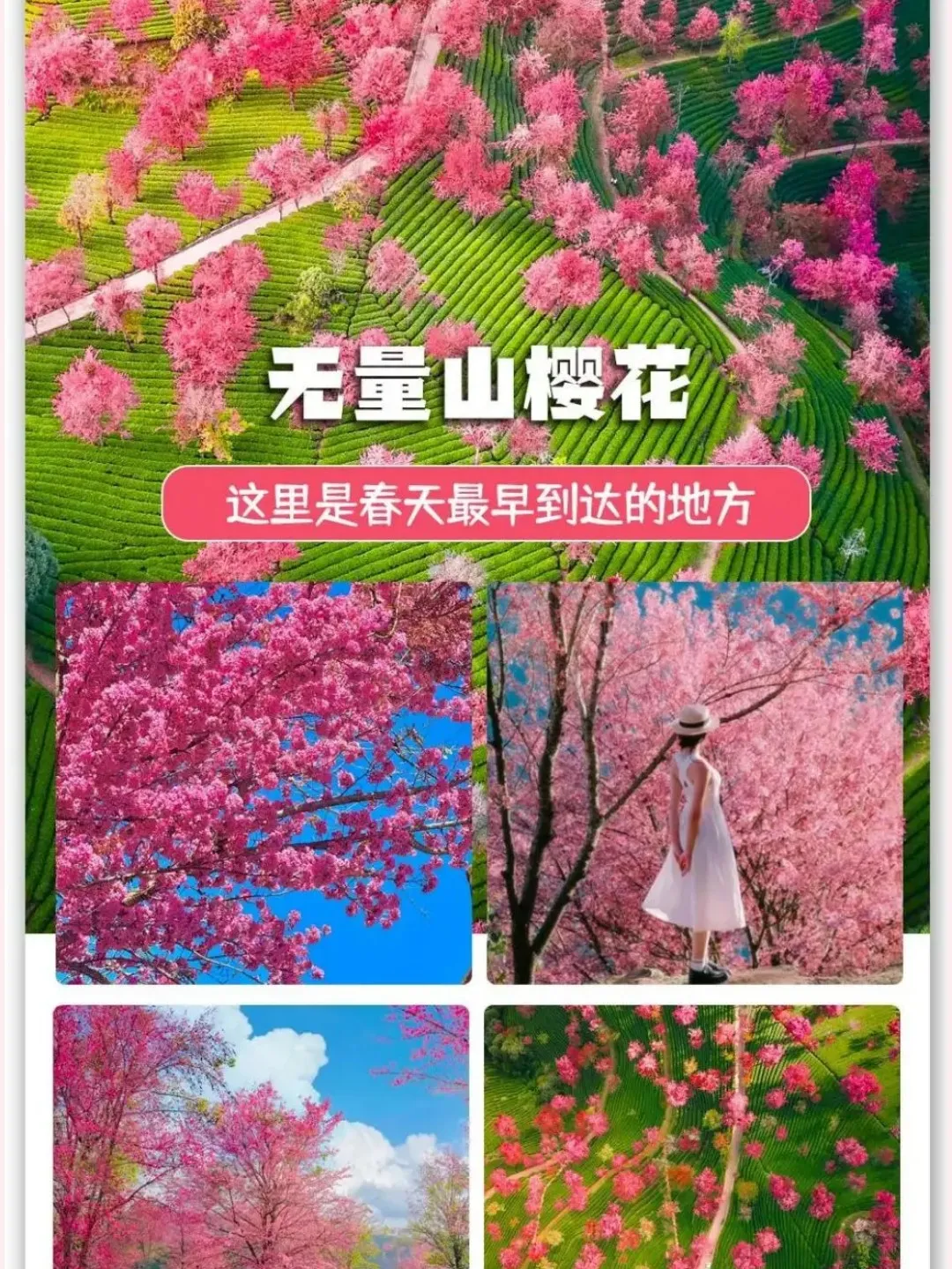 2615057b3b3652a4fa2f92ee79cdf7e4-sz_528295-1