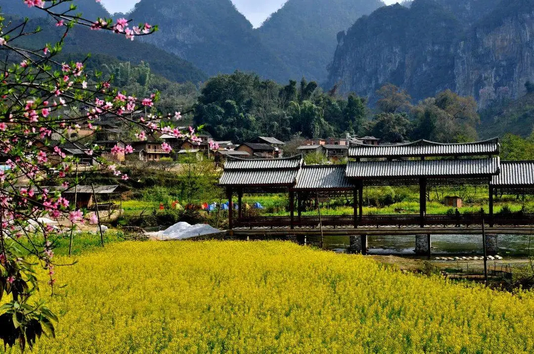 2642e8643bae78dd6d6623658eb3b0d2-sz_225173 2642e8643bae78dd6d6623658eb3b0d2-sz_225173