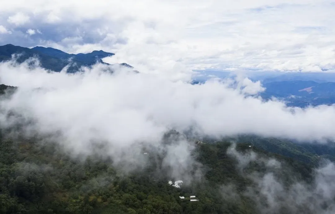 26609e409be72fdec74bff3c70227495-sz_131283 26609e409be72fdec74bff3c70227495-sz_131283