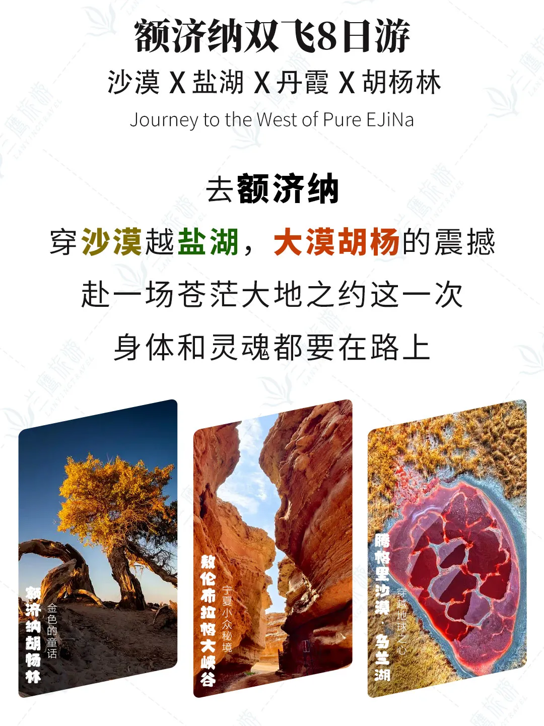 2674bf484179d768f1cb2eb5313a755c-sz_350046