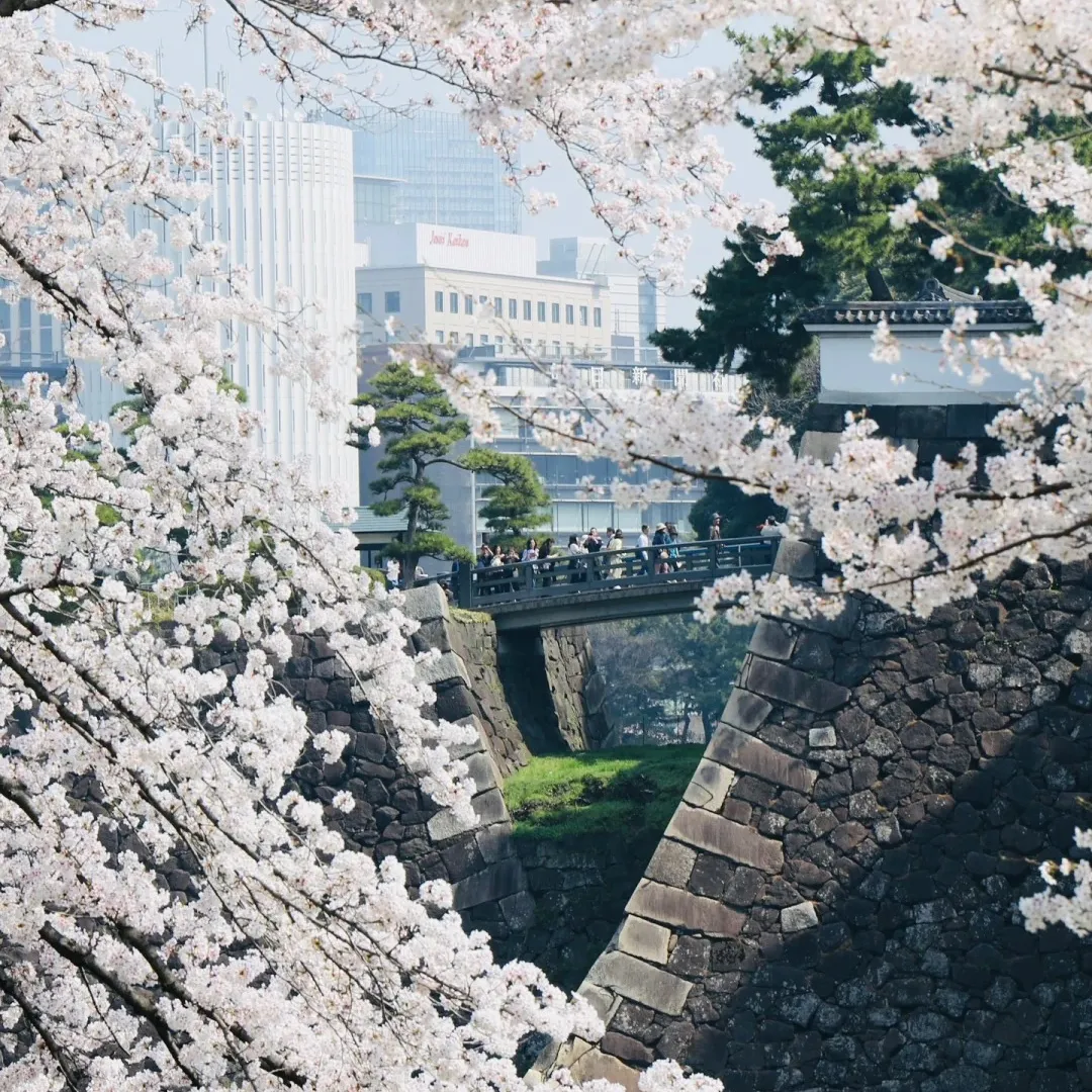 26ab6d7ad4fe309abb731c8593e770dd-sz_617118 26ab6d7ad4fe309abb731c8593e770dd-sz_617118