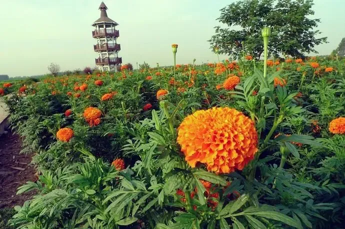 271640dae51be0b72046bd5fb4eabd49-sz_638181