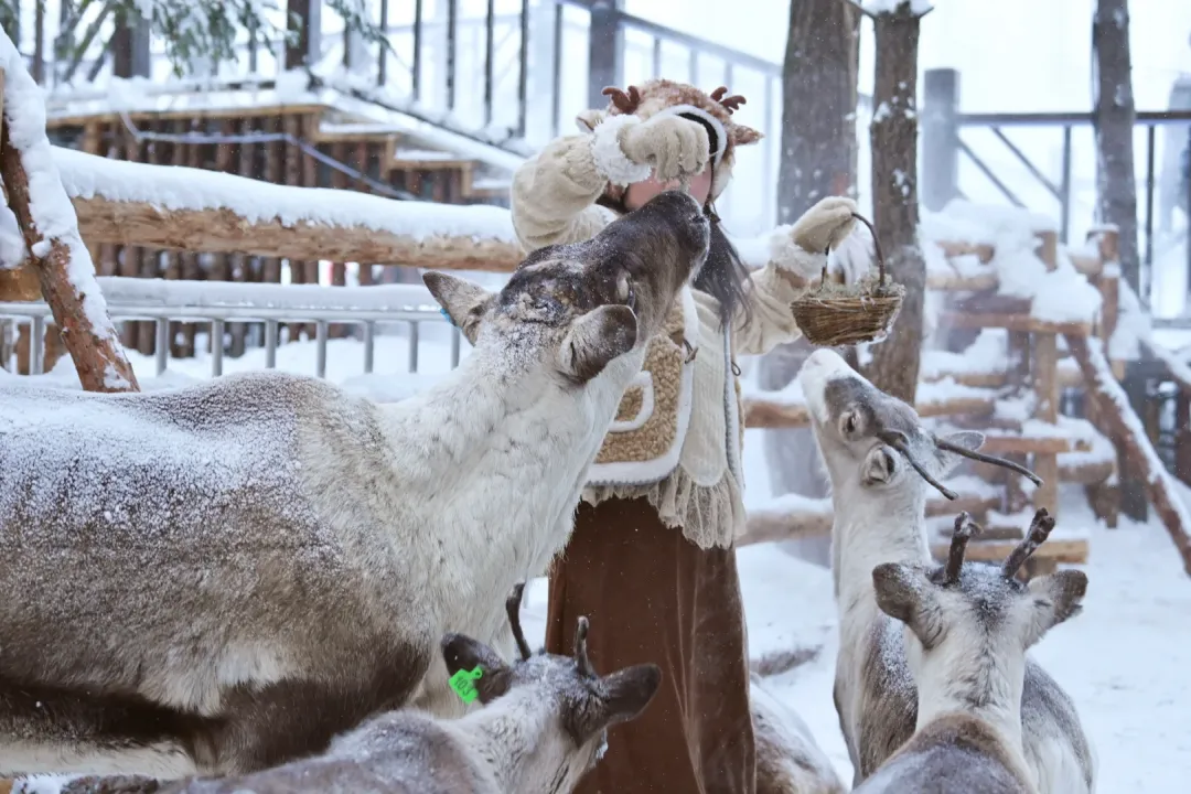 274df7d3399356ae421cd85c164d9aaf-sz_2644545 274df7d3399356ae421cd85c164d9aaf-sz_2644545