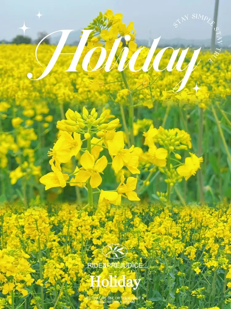 27a419586319ab62fbb462ba3fc58fd0-sz_1705231