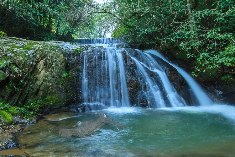 27adc5cee1da478cd73e3ddfa8af0d4b-sz_1432876