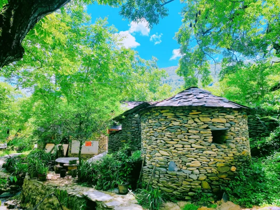 27e28a39dddba3fce902ef6295bad309-sz_774943 27e28a39dddba3fce902ef6295bad309-sz_774943