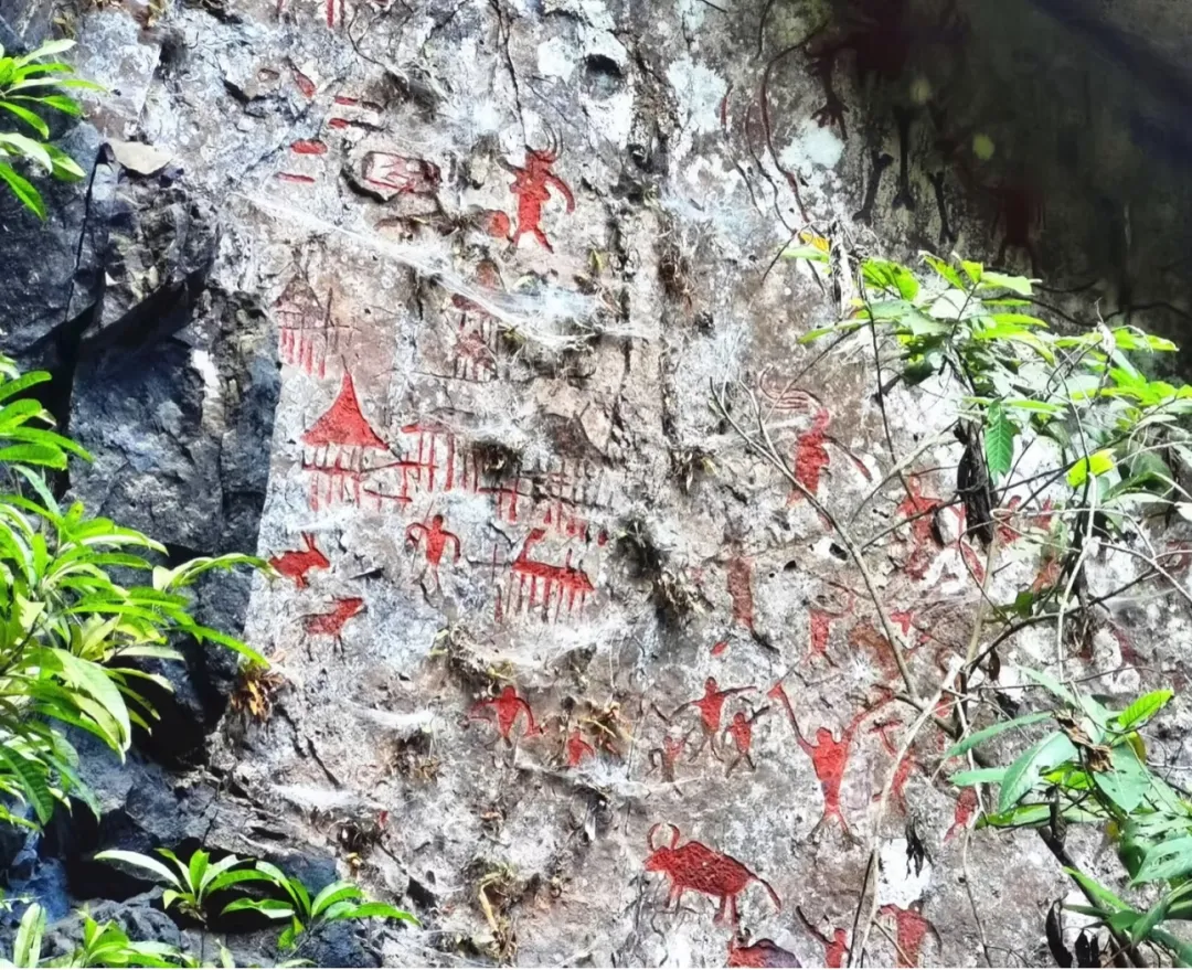 285103c4717024b9b81ae3201f73bf52-sz_746137 285103c4717024b9b81ae3201f73bf52-sz_746137