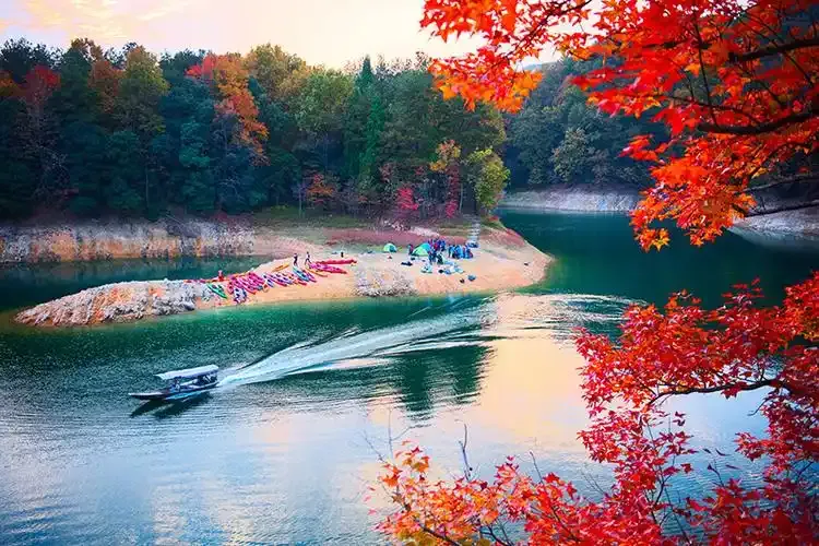 288af215c0ad7853a94408d62f5cba41-sz_1033585 288af215c0ad7853a94408d62f5cba41-sz_1033585