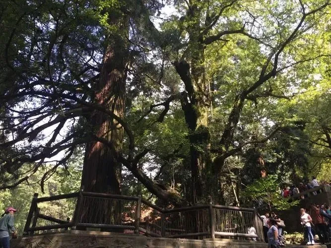 2903c4229a7556e606c35c4701bfa355-sz_115037