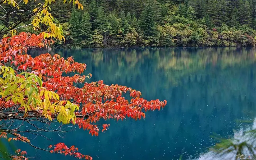 296372a644e73e754a2b42f71fc5b876-sz_668692