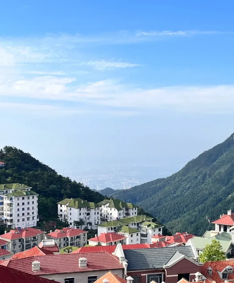 29f5fe7015612929bb6a08b8772f57fb-sz_1597547