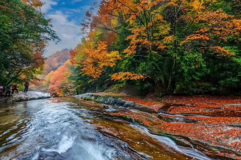 2a437f8bf53e290aa4a437882ae0f401-sz_130807 2a437f8bf53e290aa4a437882ae0f401-sz_130807