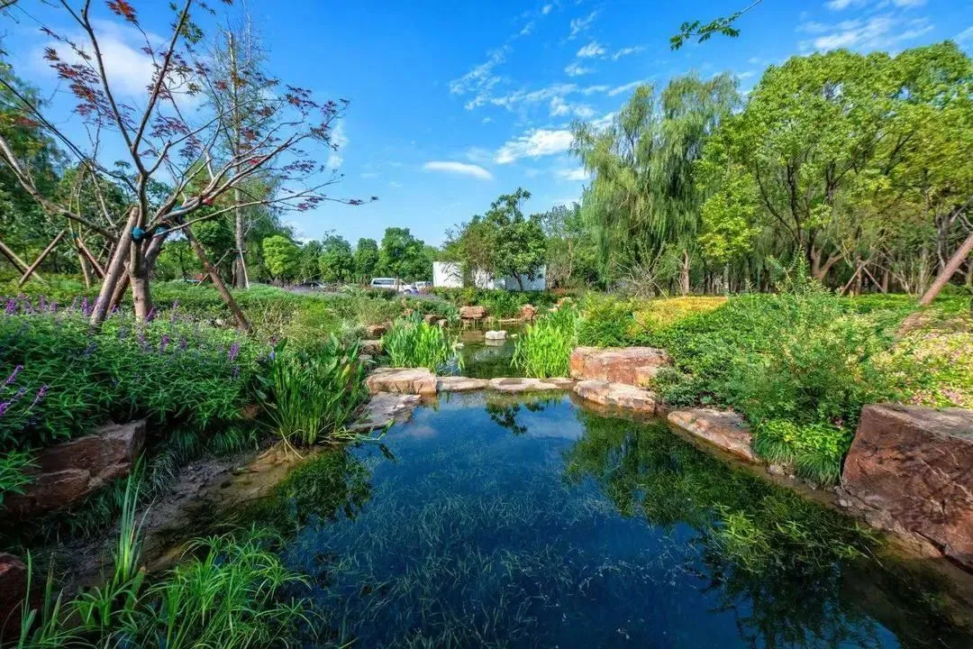 2a643762433925a37c742e3ea44eca0a-sz_2227545 2a643762433925a37c742e3ea44eca0a-sz_2227545