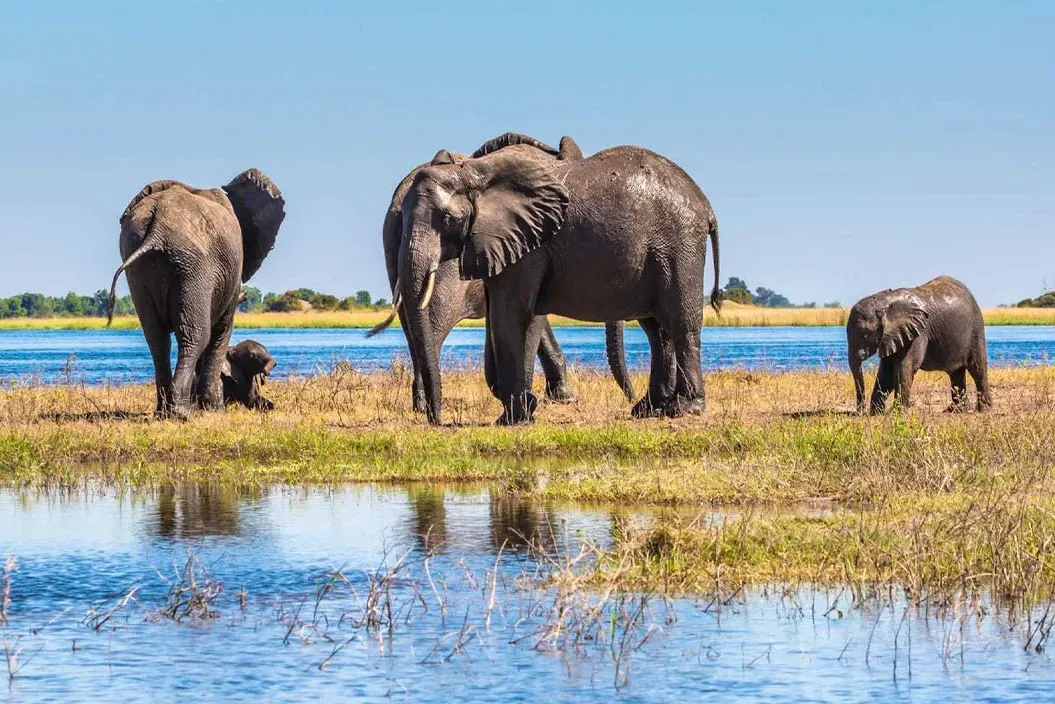 2aef999394e0be58db2e12b762e1dfcc-sz_3214237 2aef999394e0be58db2e12b762e1dfcc-sz_3214237