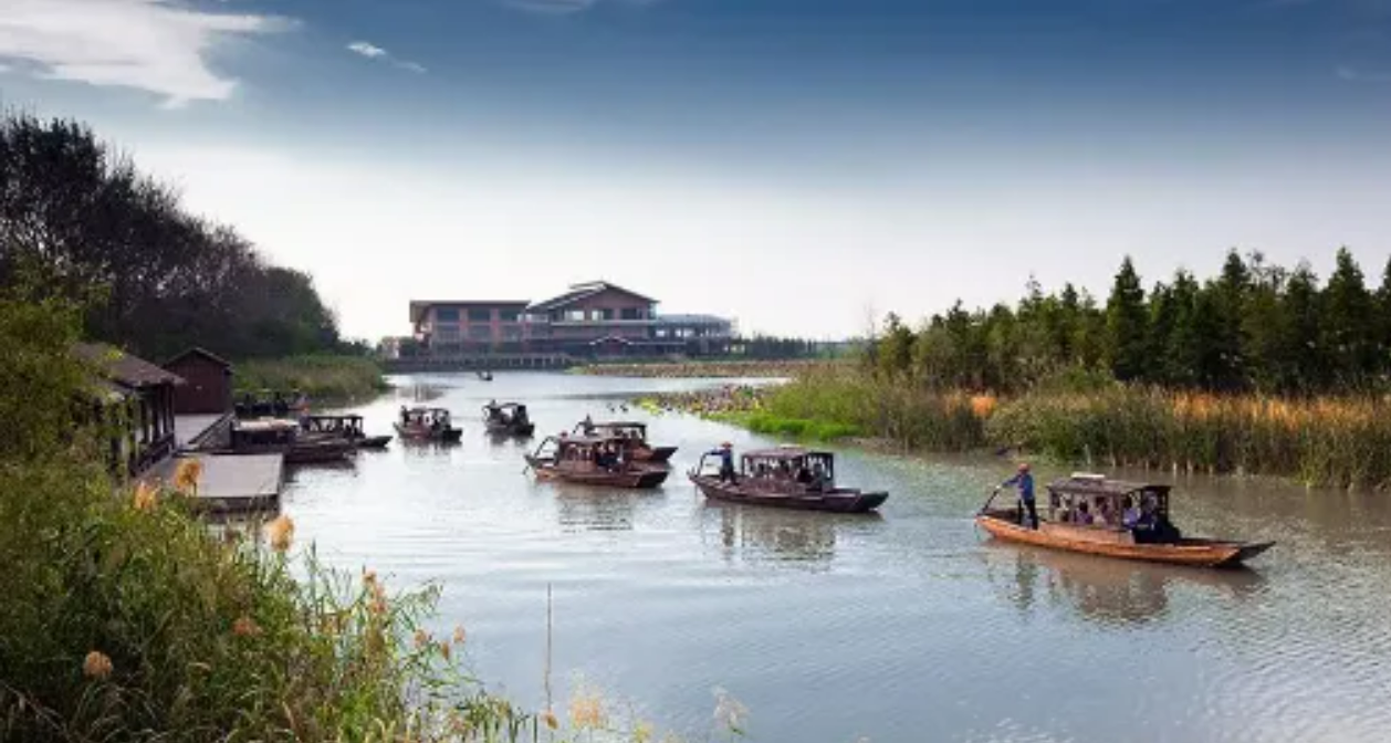 2b7ca0056816203bf4851816966ff01b 2b7ca0056816203bf4851816966ff01b