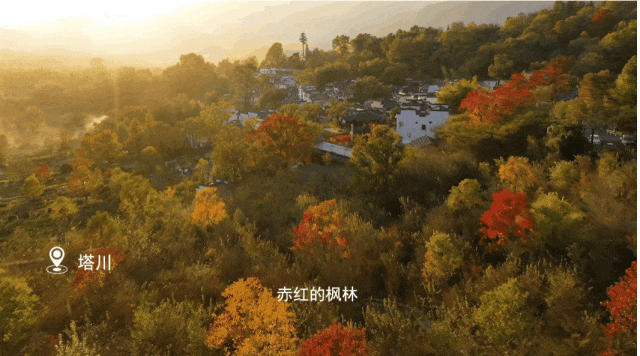 2bda69260606547bcb354eaa91f6a8bf-sz_1902675-2 2bda69260606547bcb354eaa91f6a8bf-sz_1902675-2