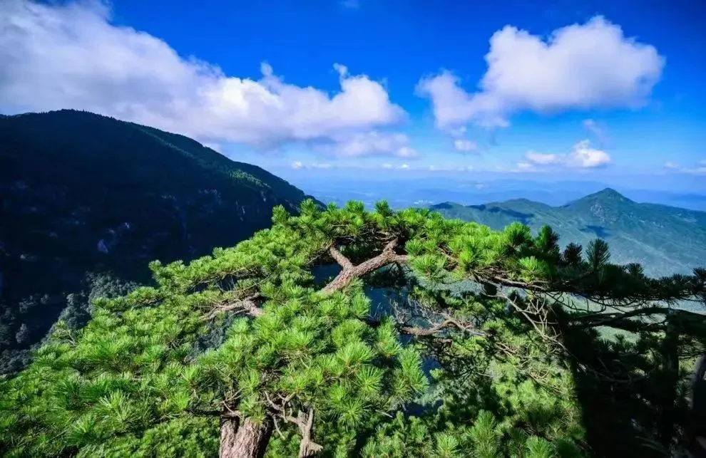 洲际五星❤{明月山假日酒店}指定连住4晚｜环游武功山 明月山 五星硒温泉 赠送2次室外温泉+泡脚 卧高或双高纯玩5日游