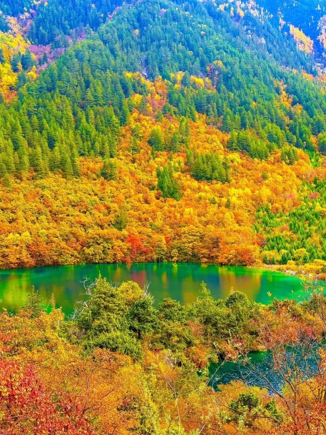 2bee55b3e3734b791ce10d21314940d8-sz_862690 2bee55b3e3734b791ce10d21314940d8-sz_862690