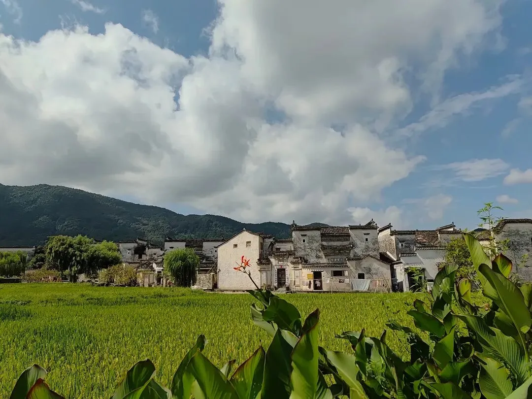 2c3d5c34d3fb1467aec13292b7e87b6d-sz_160094 2c3d5c34d3fb1467aec13292b7e87b6d-sz_160094