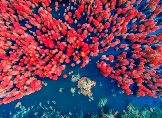 2c5b70540f92bab13b6d49127964e9ad-sz_510331 2c5b70540f92bab13b6d49127964e9ad-sz_510331