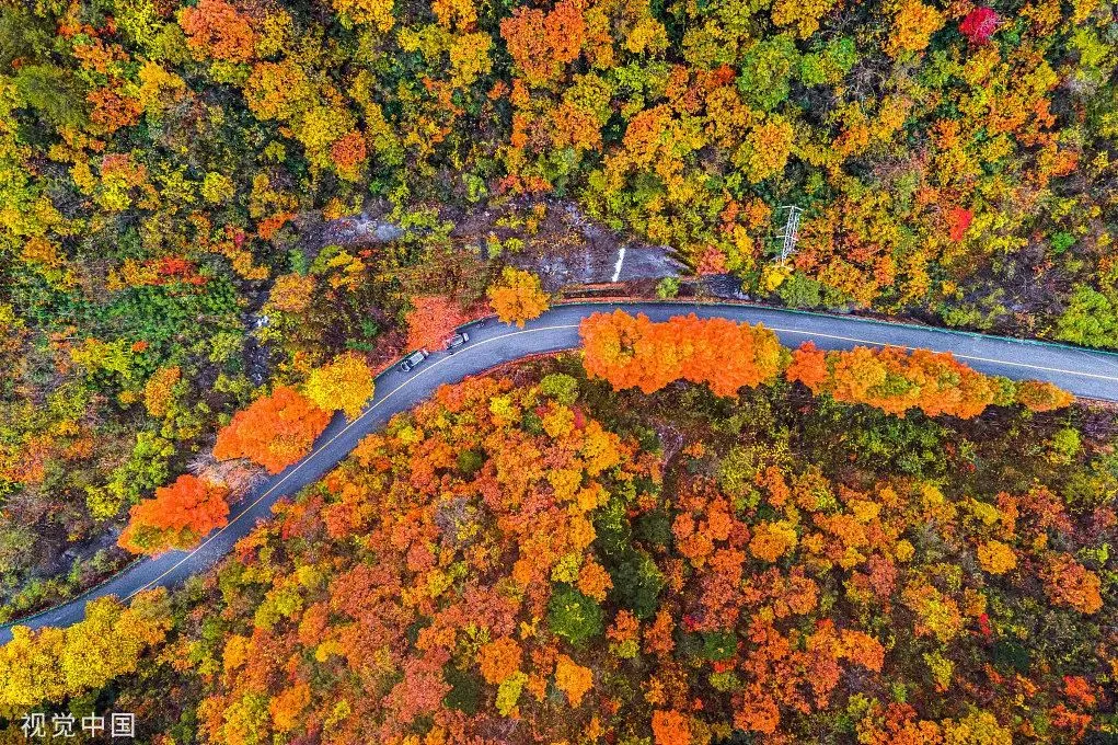 2c6445efadcea05fb314a2d8dc7fb10e-sz_347990