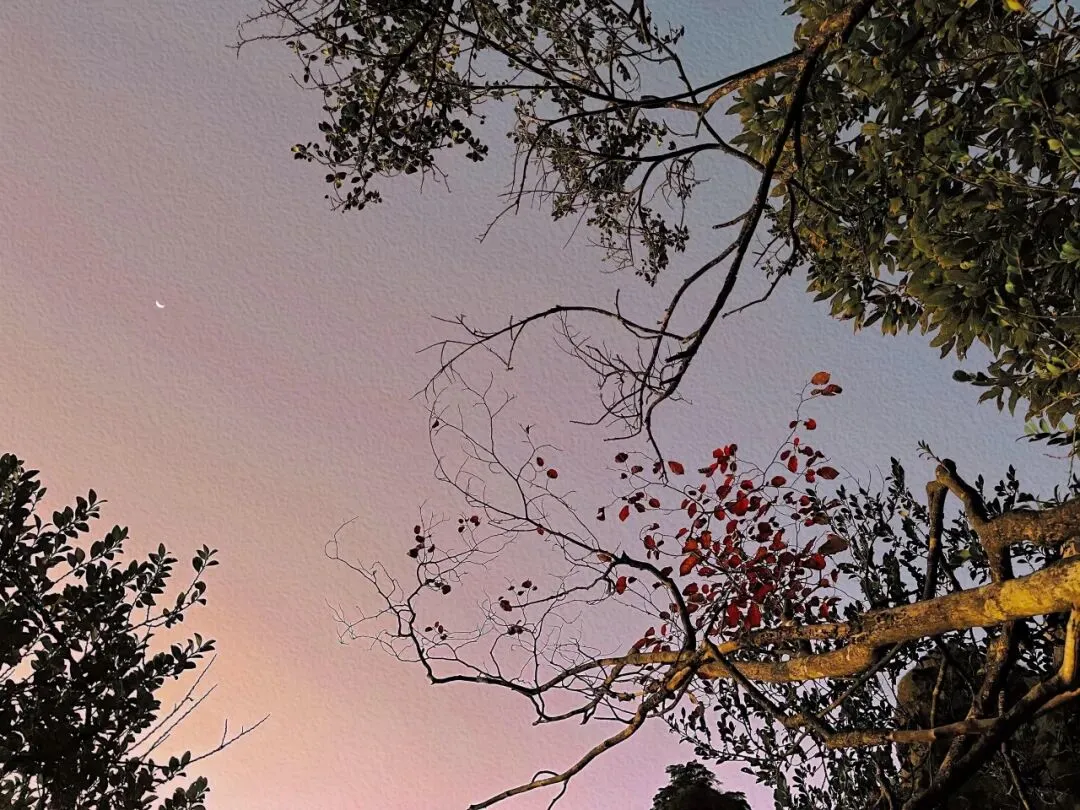 2ce80e983943f2c807cb95122cad242a-sz_224377-2