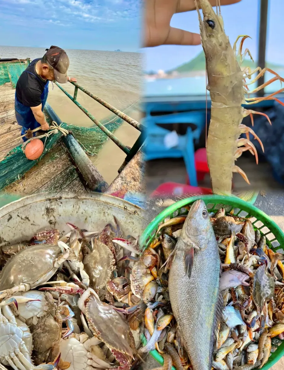 2ceb79517348d64cfb12f304e90799ab-sz_3136246 2ceb79517348d64cfb12f304e90799ab-sz_3136246