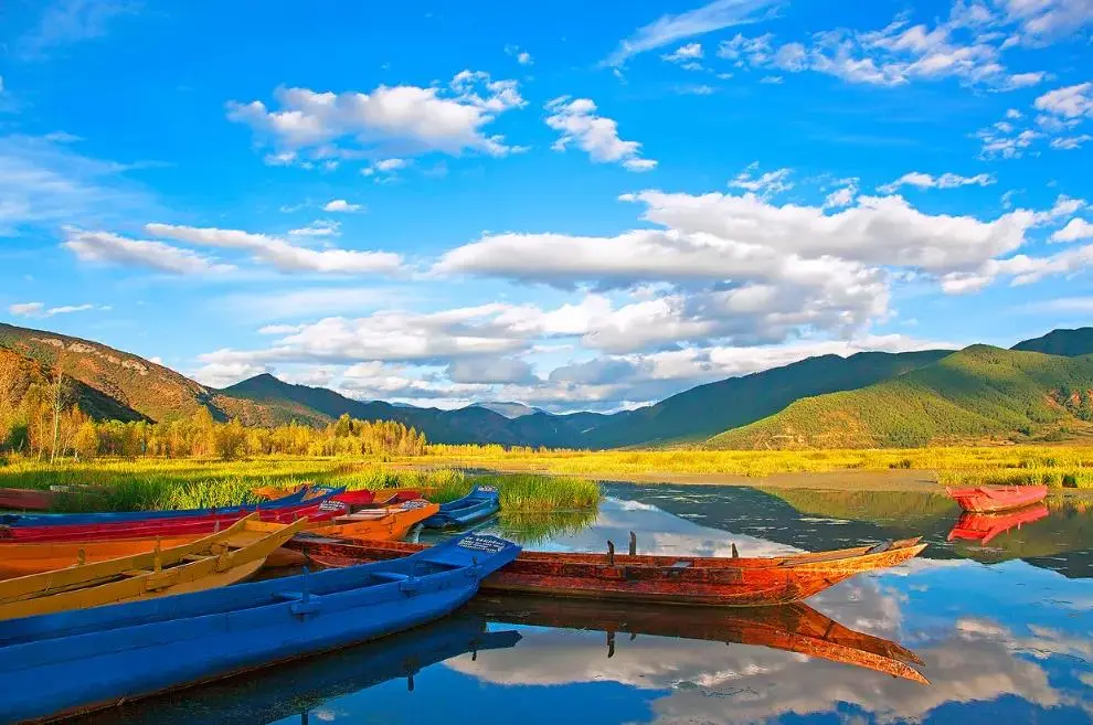 2d2d3db76aa20f0925111ee93e8c3ec9-sz_112615-1 2d2d3db76aa20f0925111ee93e8c3ec9-sz_112615-1