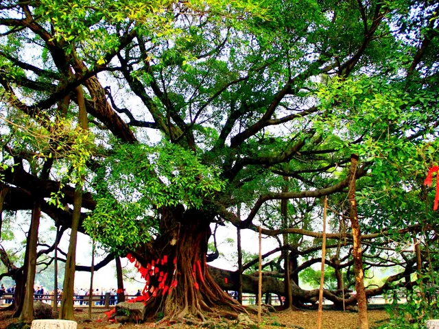 2d3ebf91c584bc5c58a50e15cc482ed0-sz_265034 2d3ebf91c584bc5c58a50e15cc482ed0-sz_265034